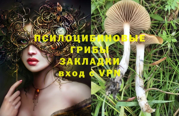 ALPHA PVP Тобольск