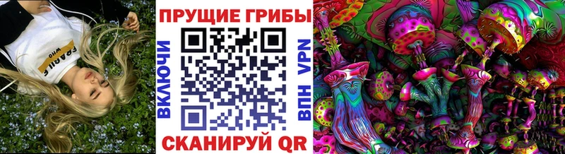 OMG как войти  Яхрома  Галлюциногенные грибы прущие грибы 